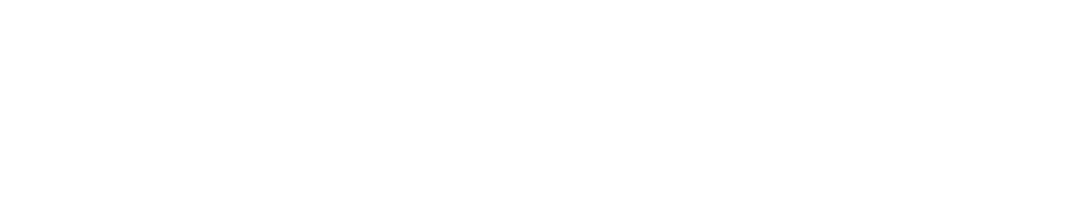 Data Section